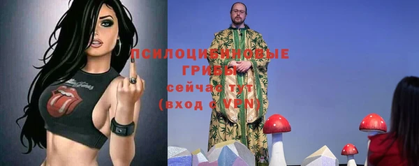 spice Абинск