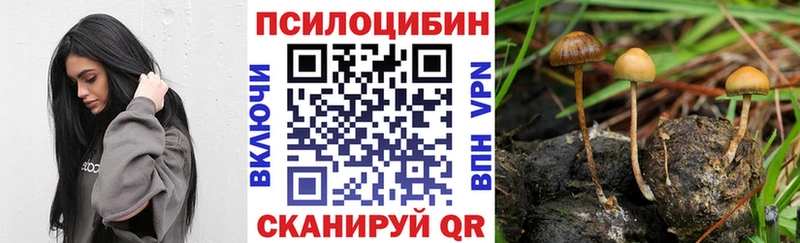 Галлюциногенные грибы MAGIC MUSHROOMS mega Кисловодск